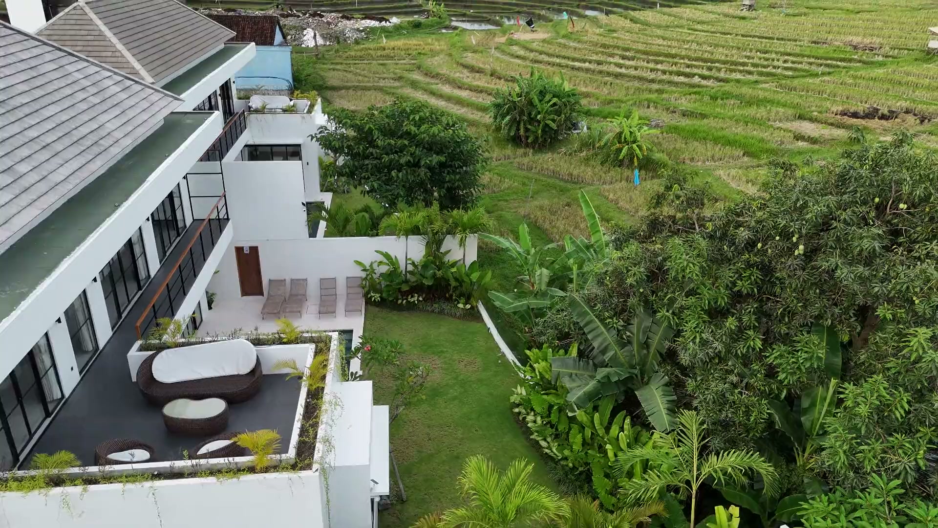 Aerial pan over the rice fields surrounding Villa Rice